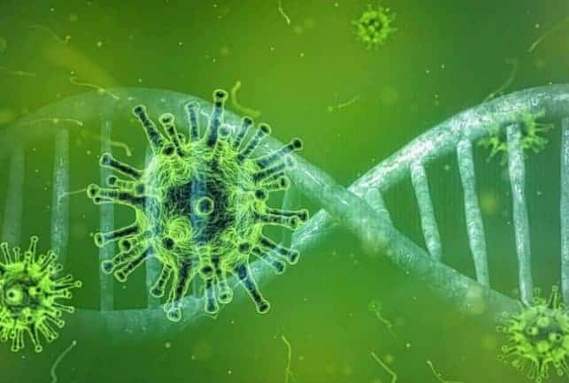 Bakterie und DNA-Strang, Mikroskopansicht, medizinische Struktur, wissenschaftliche Illustration, Gesundheitsschutz, Keimabwehr.