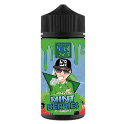 Fruchtiger E-Liquid-Dampf mit Minzaroma in 10ml Flasche, cooles Design mit Cartoon-Figur, ideal für Vaping-Enthusiasten, Geschmacksrichtung Minzbären.