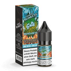 Aroma: Mangoblüte und Minznoten, Flasche mit Nikotin-Salzliquid für E-Zigaretten, 10ml, speziell für Vaping geeignet.