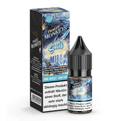 Mojito Liquid Salt für E-Zigaretten, 10 ml Flasche, Nikotin 20 mg/mL, mit Minzgeschmack und Salznikotin, ideal für intensiven Geschmack und starke Nikotinwirkung.