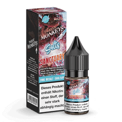 Aromatisierte E-Zigaretten-Flüssigkeit im Fläschchen mit Verpackung, Geschmack Sanctuary, 20mg Nikotin, für Erwachsene, besseres Dampferlebnis, Bubblegum, Kaugummi, Frucht, Menthol, intensiver Geschmack, LETZ Go.