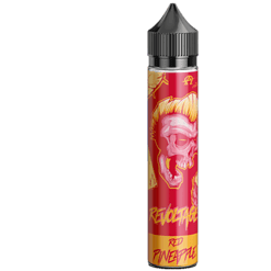 Leitfaden für die Bild-Metadaten:.