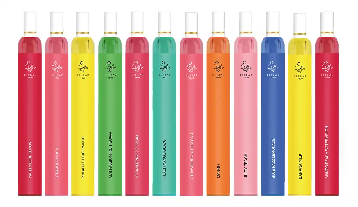 ELFBAR T600 Einweg E-Zigarette - 20mg/ml 2 Elf Bar T600 Einweg E-Zigarette