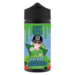 TNYVPS - Aroma Mint Berries 10 ml